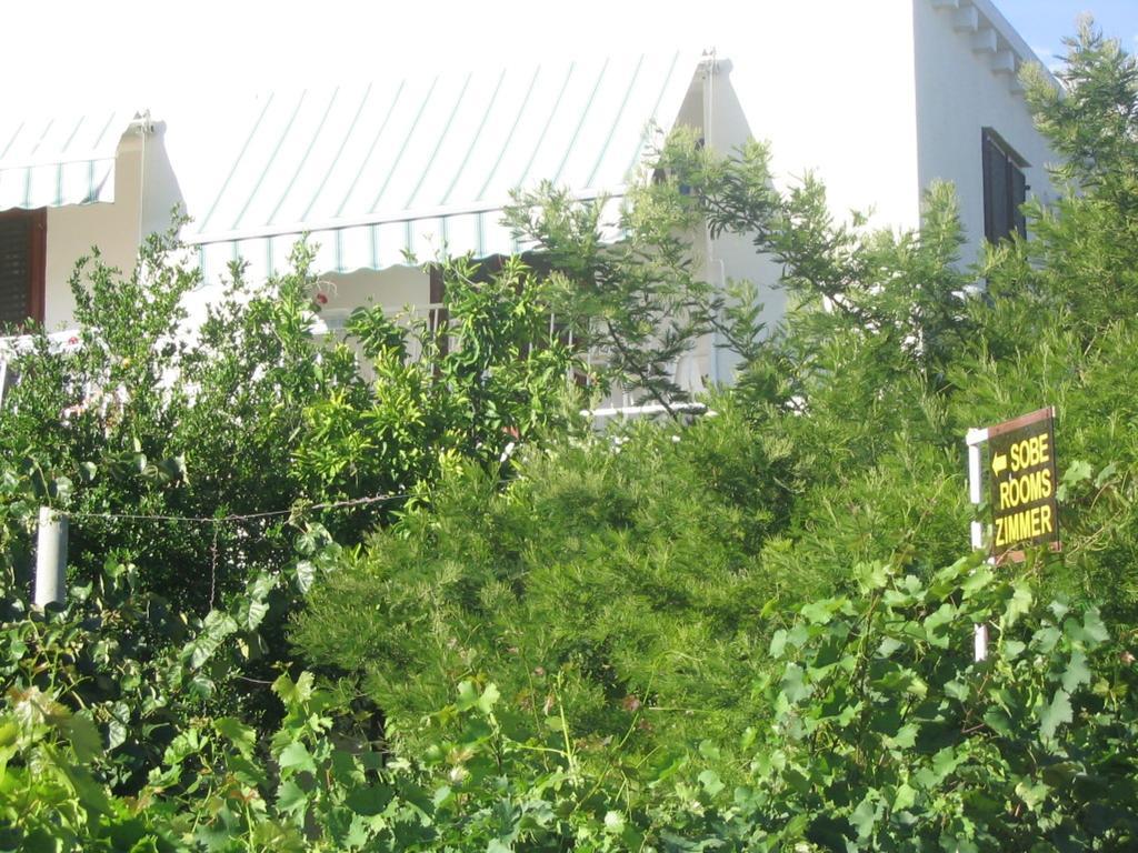 Guest House Kola سلانو المظهر الخارجي الصورة
